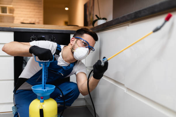 Best Exterminator Services  in Belle Chasse, LA