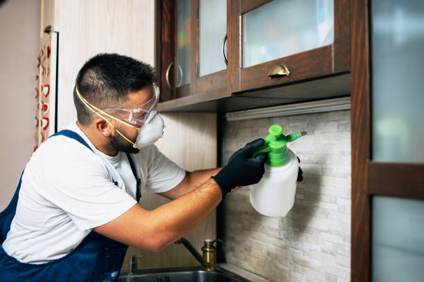 Best Residential Pest Control  in Belle Chasse, LA