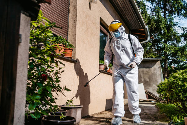 Best Affordable Pest Control Services  in Belle Chasse, LA