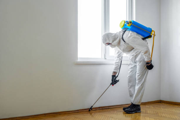 Best Commercial Pest Control Services  in Belle Chasse, LA