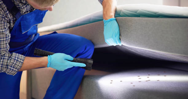 Best Pest Inspection Near Me  in Belle Chasse, LA