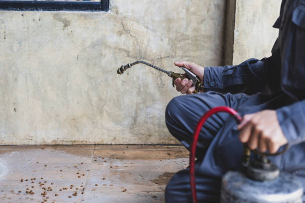 Best Pest Inspection Near Me  in Belle Chasse, LA